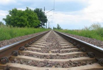 Construção da ferrovia contornando a Ucrânia prevista para ser concluída antes do previsto
