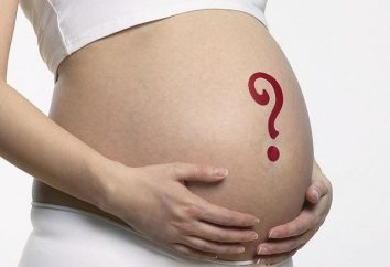 Willst du wissen, wie man das Geschlecht des Kindes auf dem Bauch bestimmt?