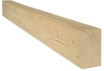 Calibrados de madeira: características e uso do aplicativo