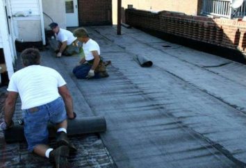 Jak pokryć dach z pokryciem dachowym własnymi rękami? zdjęcie