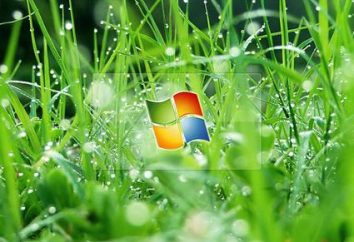 Jak przeprowadzić proces odzyskiwania systemu Windows XP ładujący