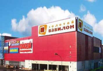 centro commerciale "Babylon": una rassegna di dove si trovava, recensioni