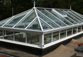 lanternim telhado como uma alternativa ao vidro