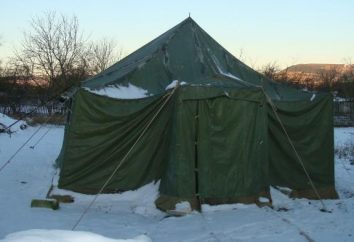 Idąc campingowe: Wybór namiotu