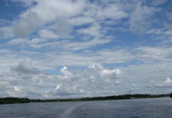 Ilmen (lago): rilassamento, pesca e recensioni