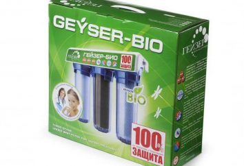 „Geysir“: Filterpatronen. Übersicht, Merkmale und Bewertungen Ersatz. "Geyser 3" (Wasserfilter): Ersatzpatronen