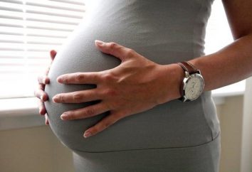 Come calcolare la data di partenza in congedo di maternità?