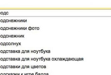 Para obtener información sobre la forma de "Yandex" Borrar historial de búsquedas