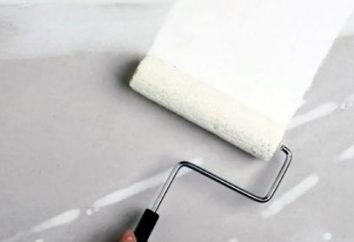 Para lavar as paredes antes de o material de enchimento. Como escolher um primer?