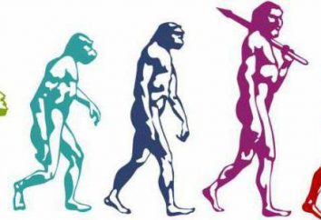 Perché l'evoluzione è chiamato il processo storico? La forza motrice dell'evoluzione