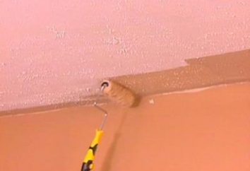 Dulux peinture pour le plafond – la meilleure solution
