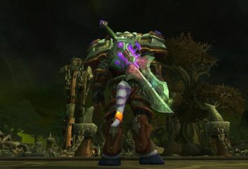 Elixir schnelle Intelligenz im Spiel World of Warcraft