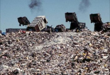 Mülldeponien: Lizenz und Bau