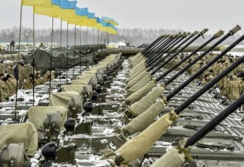 Militärische Ausrüstung der Ukraine (Foto)
