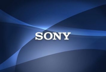 Câmera digital Sony Cyber Shot DSC-W830: comentários