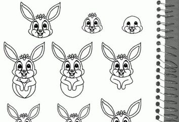 Wie ein Kaninchen zu zeichnen, mit einem Bleistift