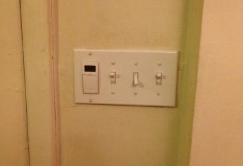 Los interruptores con temporizador de apagado: características, variedad