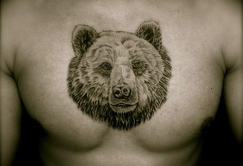 Was bedeutet es, Bär Tattoo?