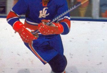 "№15 leyenda" Alexander Yakushev: biografía, deportivo y entrenar de la carrera del jugador de hockey