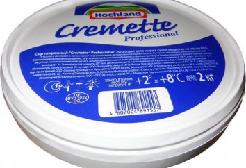 Kremette – queijo para muitos pratos