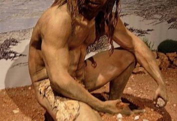 Homo heidelbergensis, o Homo erectus. Sembravo e quello che ha fatto l'Homo erectus?