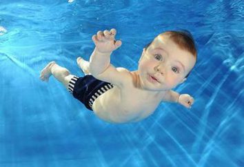 Come scegliere un pool per i neonati a San Pietroburgo? Foto e commenti