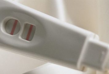 Le analisi genetiche in gravidanza pianificazione: la descrizione, le caratteristiche e le raccomandazioni