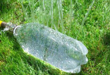 Die Verwendung von Kunststoff-Flaschen auf dem Land: nützlicher Artikel und Dekorationen