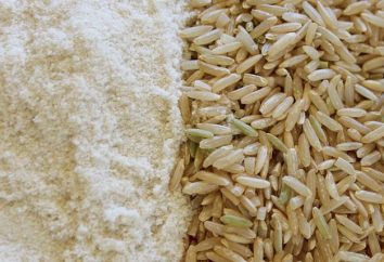 Polvere di riso: descrizione e recensioni