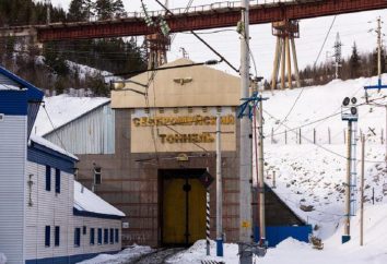 Severomuisk Tunnel Geschichte Bau, Beschreibung, Foto