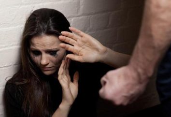 La violencia doméstica contra las mujeres como un problema público y social. Centro para las víctimas de la violencia doméstica