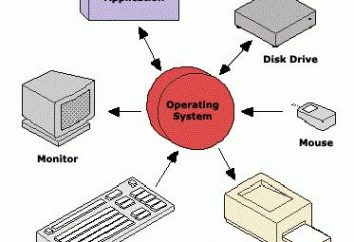 Il software di sistema – è … Classi e tipi di programmi software. Come rimuovere il programma di sistema?