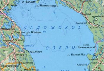 Jezioro Ładoga: opis, głębokość, topografia, ryby