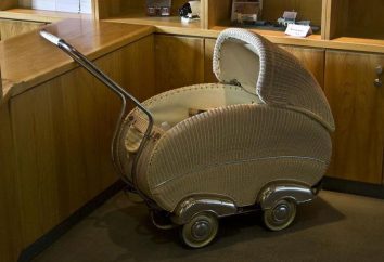 Popularne wózki dziecięce: przedsiębiorstwa, w szczególności co należy zwracać uwagę przy zakupie