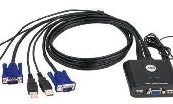 Conmutador KVM de 2 PC (USB, HDMI, DVI, PS / 2, conectores VGA): principio de funcionamiento, características y opiniones