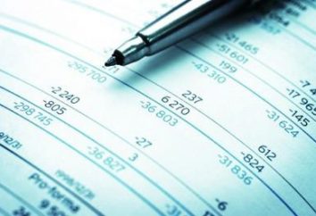 Rechnungswesen (Finanz-) Berichterstattung von kleinen Unternehmen. Der Jahresabschluss PI