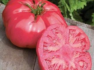 Pomodoro "elefante rosa": la descrizione delle varietà, particolarmente in crescita