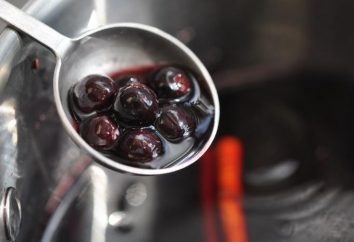 Wino domowe z czarnej porzeczki: przepis na smaczny i zdrowy alkohol