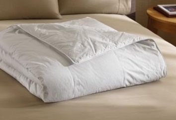Wybierz 2 łóżko kołdrę: rozmiar wypełniacza i ceną