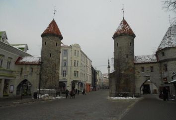 Tallinn Miasto: atrakcje ze zdjęciami