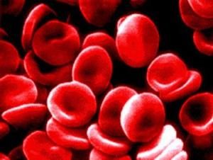 Por que eu preciso de saber a identificação do grupo sanguíneo?