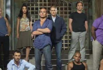 Die Serie "Escape": Michael Scofield, Biografie und Serienbeschreibung