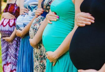 Chi paga di maternità – lo Stato o il datore di lavoro? Fondo delle assicurazioni sociali della Federazione Russa