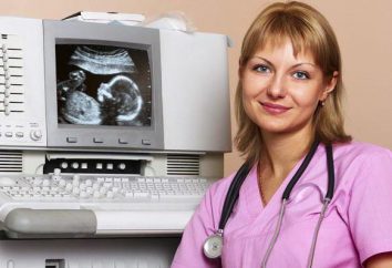 Lekarz Ultrasonografia: charakterystyka pracy i obowiązków opinii