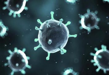 ¿Cómo distinguir el rotavirus envenenamiento? síntomas de la enfermedad