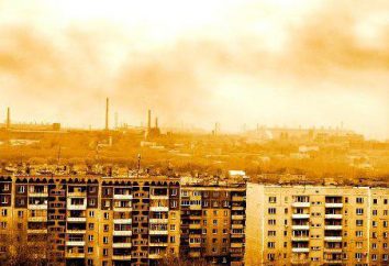 Os problemas ambientais da região de Chelyabinsk. região de Chelyabinsk em leis ambientais