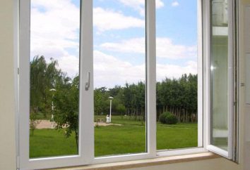 finestra di plastica: i tipi di finestre e cosa guardare fuori per