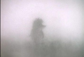 Co robi Jeżyk we mgle? Filozofowania na kreskówce