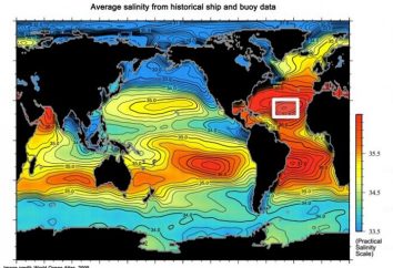 Qual è la salinità dell'Oceano Atlantico?