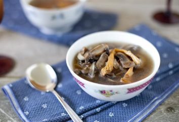 Lean Pilzsuppe. Köstliche fleischlos Suppe mit Pilzen – Rezept